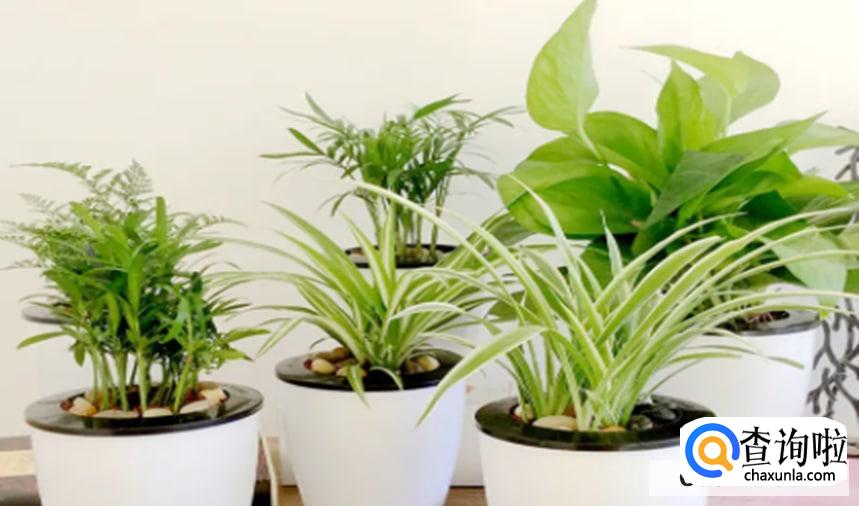 新房装修好后多长时间能住