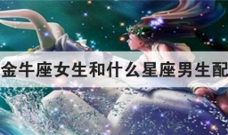 金牛座女生和什么星座男生配