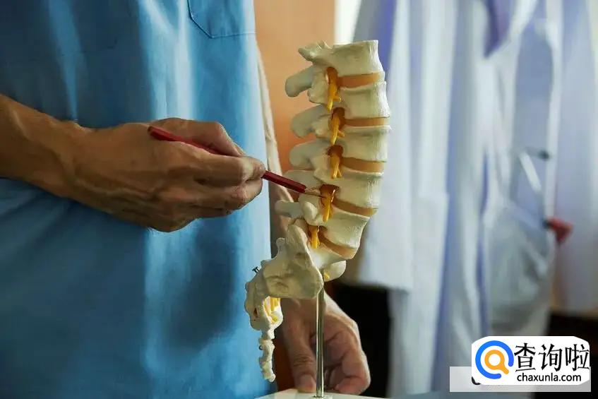 如何调理腰椎间盘突出