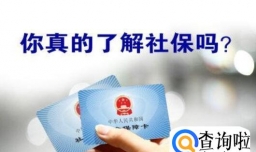 社保交了几个月什么情况下能退，社保交几个月可以用