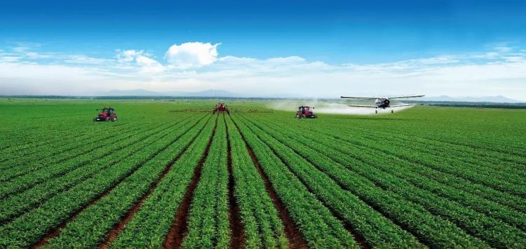 我国精耕细作农业存在于哪些王朝