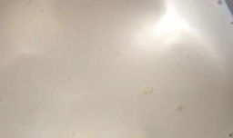 芝士流心蛋挞怎么做