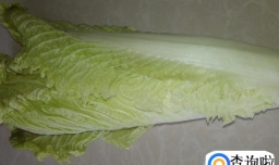 爽口酸溜大白菜