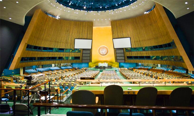 联合国总部设在美国的什么市