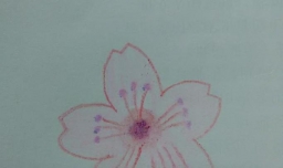 樱花简笔画怎么画