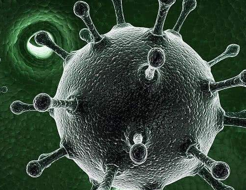 hbsag阳性是什么意思