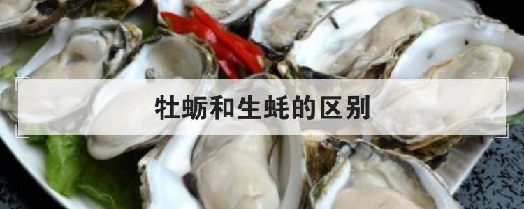 牡蛎和生蚝的区别