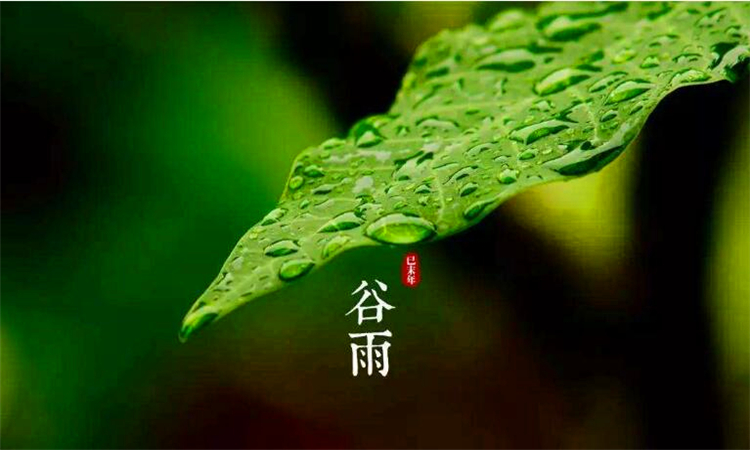 谷雨吃什么