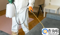 次氯酸消毒液对新冠有用吗 次氯酸消毒液对新冠消毒有用吗