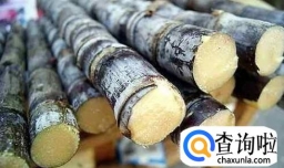 如何挑选甘蔗 甘蔗怎么挑选 甘蔗怎么买