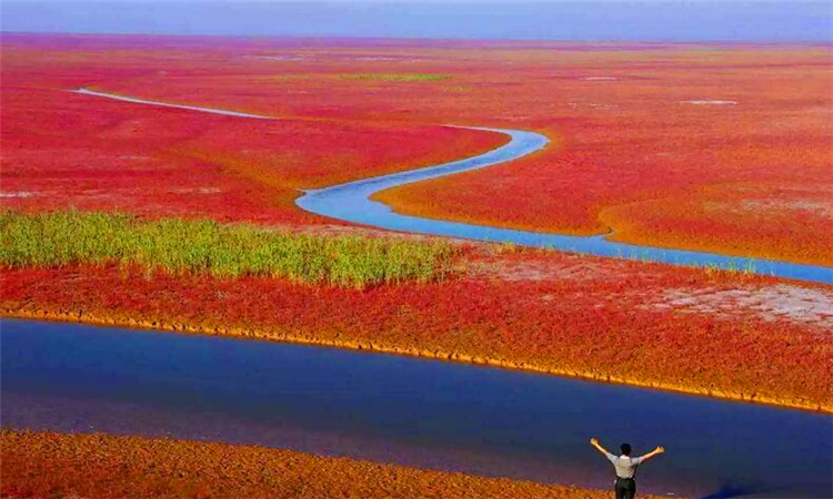 黄河入海口在哪里