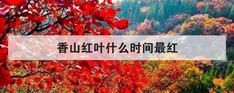 香山红叶什么时间最红