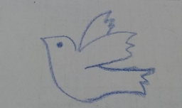 和平鸽简笔画怎么三步完成