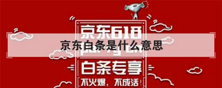 京东白条是什么意思