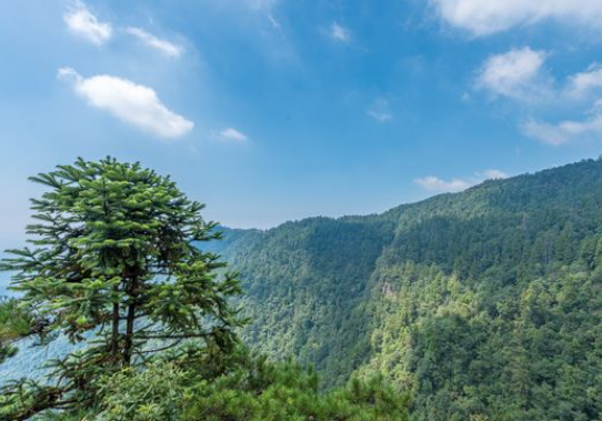 天目山在哪里