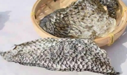 干鱼皮的泡发方法是怎样的