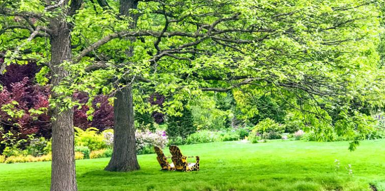 太多的借口太多的理由是什么歌
