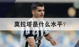 莫拉塔是什么水平？