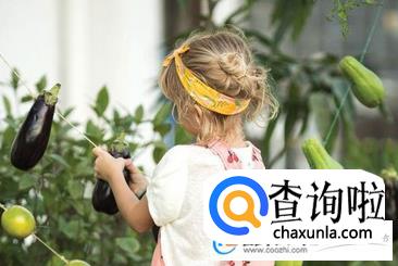 姓徐的女孩名字参考