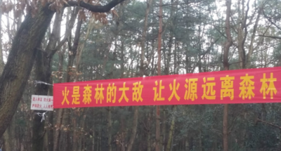 森林防火标语有哪些