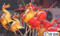 新春带孩子去哪里游玩儿最靠谱？