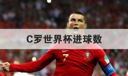 C罗世界杯进球数