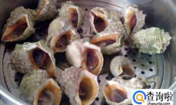 蒸海螺隔夜能吃吗