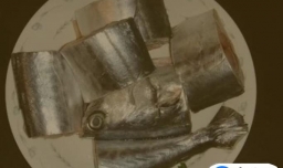 纯海岛风味水饺【鲅鱼水饺】