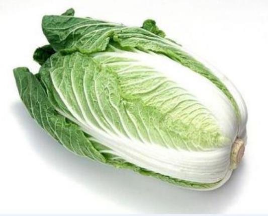 有哪些植物发芽之后不能食用呢