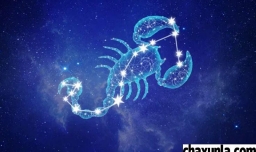 十二星座配对准吗