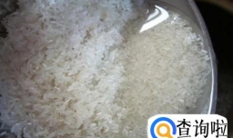 家常鲜虾粥的做法