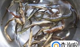 凉拌海茸的家常做法