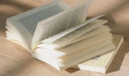 什么是申论，怎样写好申论(公务员考试)