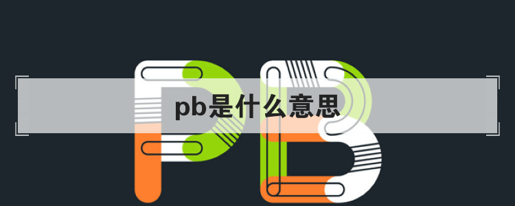 pb是什么意思