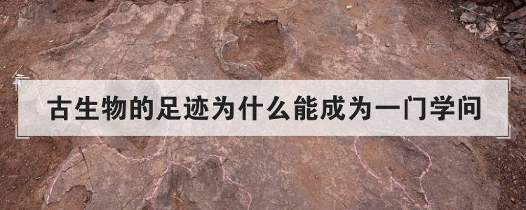 古生物的足迹为什么能成为一门学问