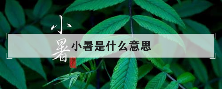 小暑是什么意思