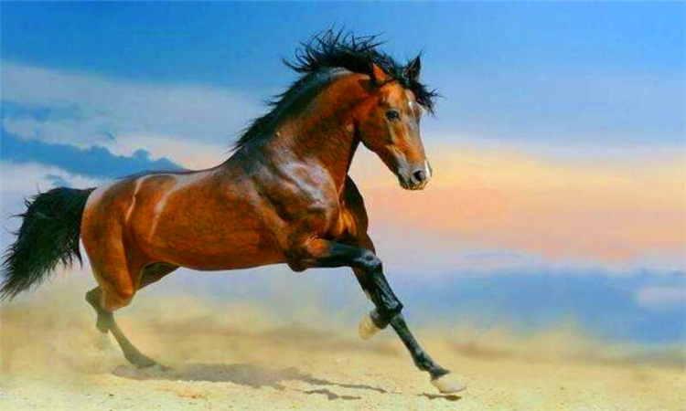千里马是什么意思