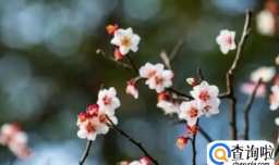 2023年立春过后正常的温度是多少