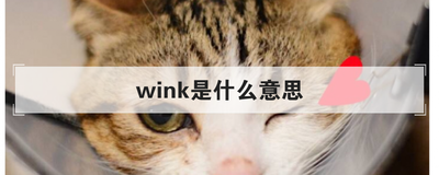 wink是什么意思