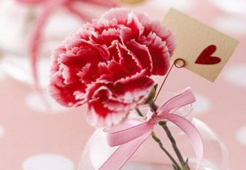 母亲节送花送什么花