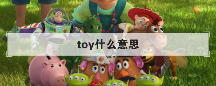 toy什么意思