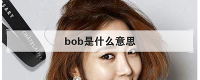 bob是什么意思