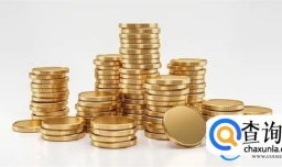 职场人士应该如何处理不同来源的收入，如工资、奖金、股票期权等？