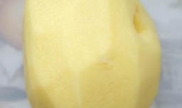 怎样做麦当劳薯条