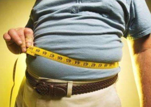 脂肪不具备的生理功用是