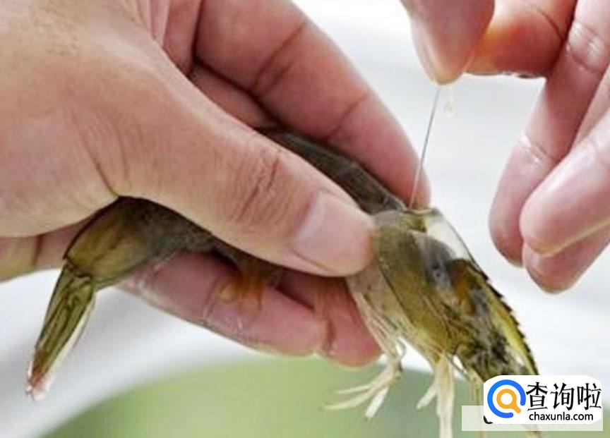 基围虾怎样去虾线又快又干净