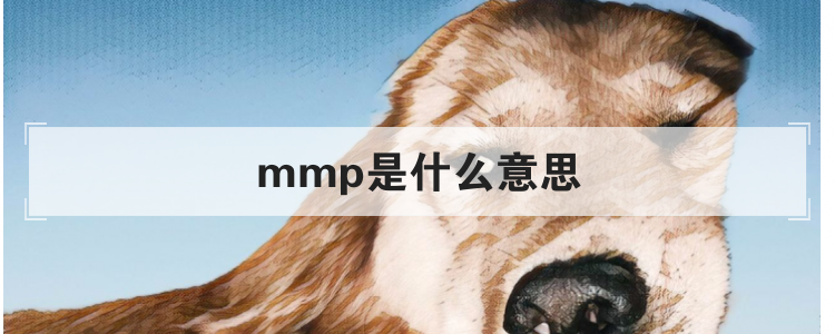 mmp是什么意思