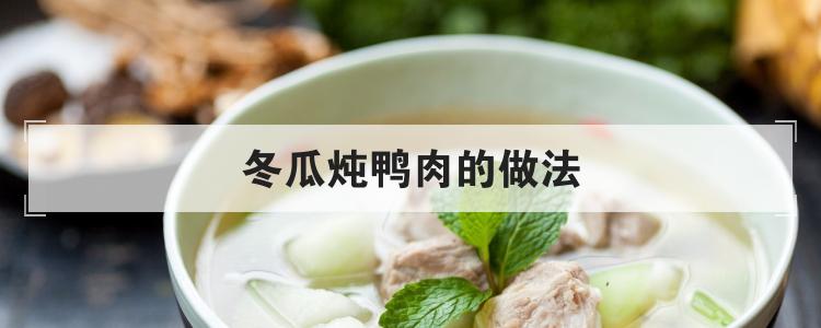 冬瓜炖鸭肉的做法