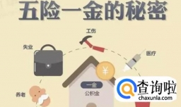 社保断交有哪些方面受影响