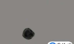 国画鱼的画法教程